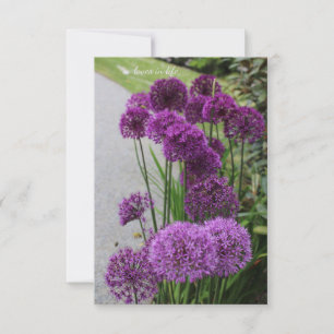 Carte De Correspondance Belles Alliums