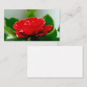 Carte De Correspondance Belles gouttes de rosée du matin sur une rose roug (Devant / Derrière)