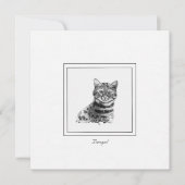 Carte De Correspondance Bengale Chat noir et blanc (Devant)