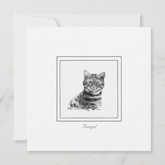 Carte De Correspondance Bengale Chat noir et blanc (Devant)