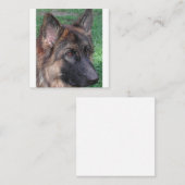 Carte De Correspondance berger allemand (Devant / Derrière)