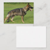 Carte De Correspondance Berger Allemand Sable Complet (Devant / Derrière)