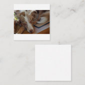 Carte De Correspondance berger australien rouge merle dormir (Devant / Derrière)