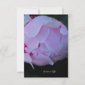 Carte De Correspondance Big Pink Peony Bud (Devant)