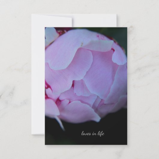 Carte De Correspondance Big Pink Peony Bud (Devant)