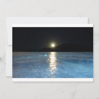 Carte De Correspondance Blank Notecards