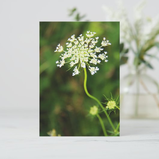 Carte De Correspondance Blank Queen Anne's Lace Fleur sauvage (Debout devant)