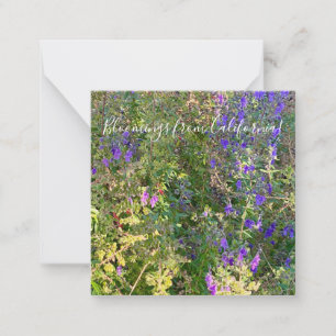 Carte De Correspondance Bloomings from California : Courbes bleues
