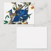 Carte De Correspondance Blue Jay par John James Audubon (Devant / Derrière)
