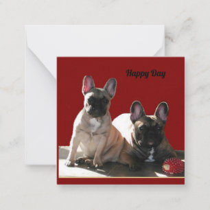 Carte De Correspondance Bouledogue français Anniversaire French Bulldog