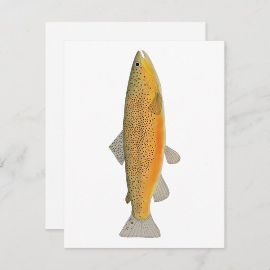 Carte De Correspondance Brown Trout (Devant / Derrière)