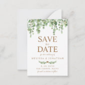 Carte De Correspondance Budget Eucalyptus Botanique Enregistrer La Date (Devant)