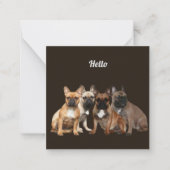 Carte De Correspondance Bulldogen Hello (Devant)