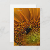 Carte De Correspondance Bumble Bee & Sunflower (Devant / Derrière)