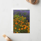 Carte De Correspondance Calendulas & Lavender (Devant/Arrière en situation)