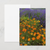 Carte De Correspondance Calendulas & Lavender (Devant / Derrière)