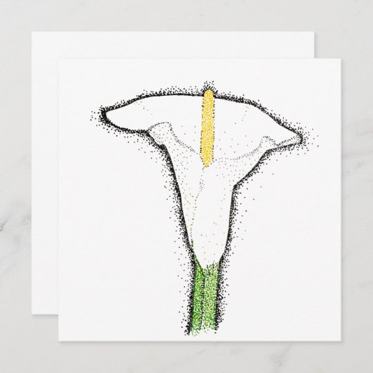 Carte De Correspondance Calla Lily (Devant / Derrière)
