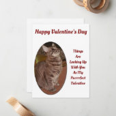 Carte De Correspondance Cat Recherche D'Image Numérique Citation Valentine (Devant/Arrière en situation)