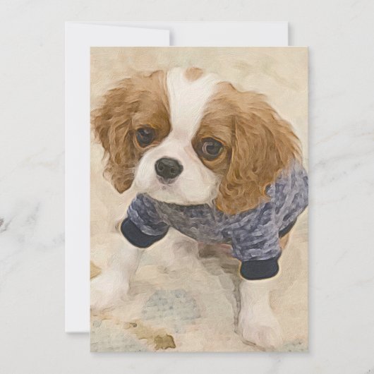 Carte De Correspondance Cavalier King Charles Spaniel card (Devant)