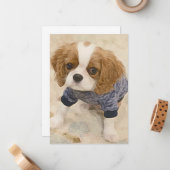 Carte De Correspondance Cavalier King Charles Spaniel card (Devant/Arrière en situation)