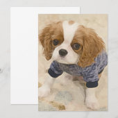 Carte De Correspondance Cavalier King Charles Spaniel card (Devant / Derrière)
