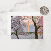Carte De Correspondance Cerisiers en Fleurs (Devant/Arrière en situation)