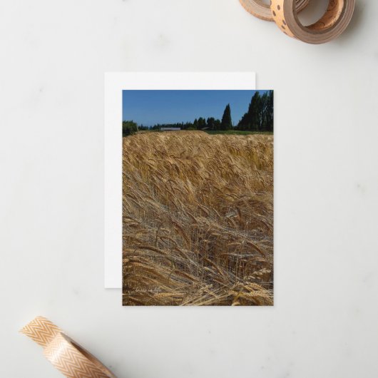 Carte De Correspondance Champ de blé d'été (Devant/Arrière en situation)