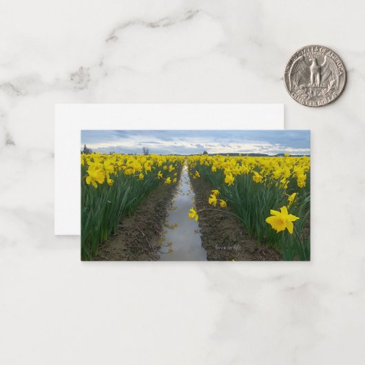 Carte De Correspondance Champ jonquille (Devant/Arrière en situation)