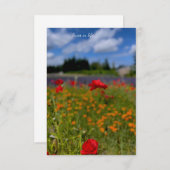 Carte De Correspondance Champ Poppy & Lavender (Devant / Derrière)