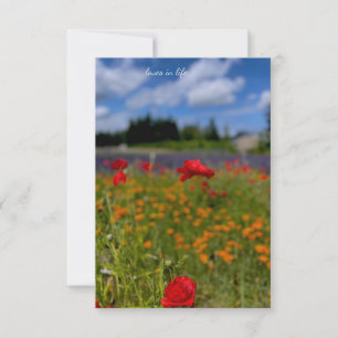 Carte De Correspondance Champ Poppy & Lavender
