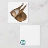 Carte De Correspondance Chat au soleil à l'envers (Devant / Derrière)