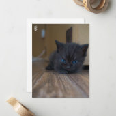 Carte De Correspondance Chaton noir (Devant/Arrière en situation)