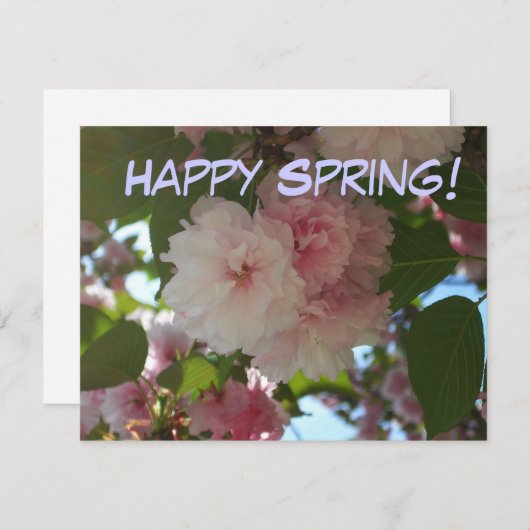 Carte De Correspondance Cherry Tree I Spring Floral (Devant / Derrière)