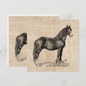 Carte De Correspondance Cheval avec papier de script (Devant / Derrière)