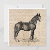 Carte De Correspondance Cheval avec papier de script (Dos)