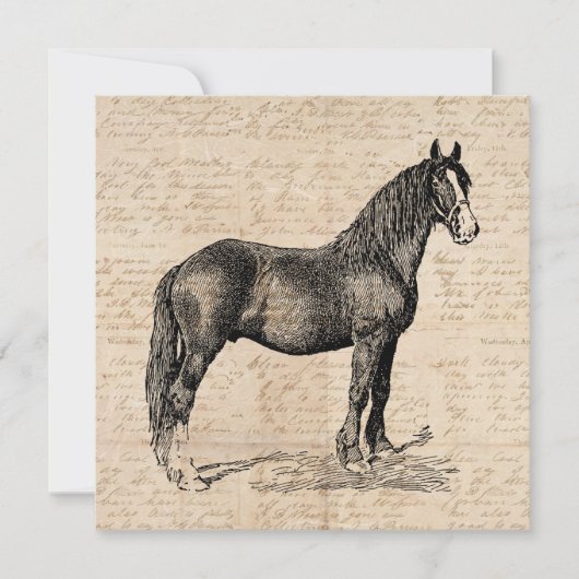 Carte De Correspondance Cheval avec papier de script (Devant)