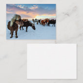 Carte De Correspondance Chevaux islandais (Devant / Derrière)