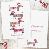 Carte De Correspondance Chiens de Dachshund en Noël Casquette