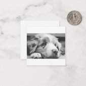 Carte De Correspondance chiot australien (Devant/Arrière en situation)