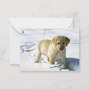 Carte De Correspondance chiot labrador jaune LR dans la neige
