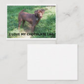 Carte De Correspondance Chocolat labrador amour avec photo (Devant / Derrière)