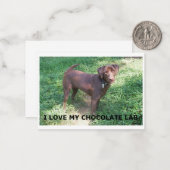Carte De Correspondance Chocolat labrador amour avec photo (Devant/Arrière en situation)