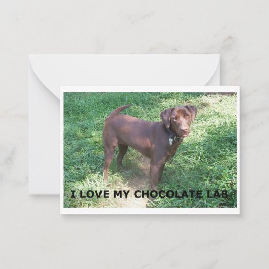 Carte De Correspondance Chocolat labrador amour avec photo (Devant)