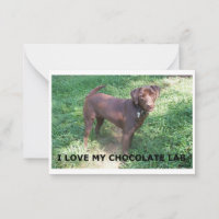 Chocolat LR labrador amour avec image