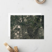 Carte De Correspondance Chouette dans la forêt (Devant/Arrière en situation)