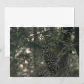 Carte De Correspondance Chouette dans la forêt (Devant / Derrière)