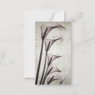 Carte De Correspondance Cinq Fleurs Vintages à rayons X