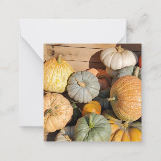 Carte De Correspondance Citrouilles en automne (Devant)