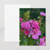 Carte De Correspondance Cluster de roses roses roses (Devant / Derrière)