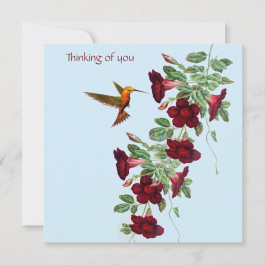 Carte De Correspondance Colibri et Fleurs Rouges (Devant)
